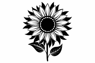 black and white sunflower