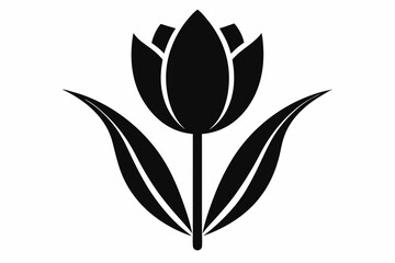 tulip flower line art silhouette vector illustration