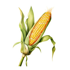 Digital technology corn watercolor design illustration