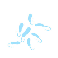 Vibrio Cholerae Bacteria 