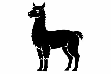 alpaca line art silhouette vector illustration