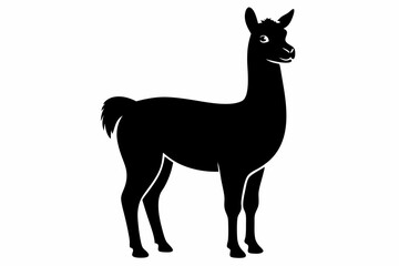 alpaca line art silhouette vector illustration