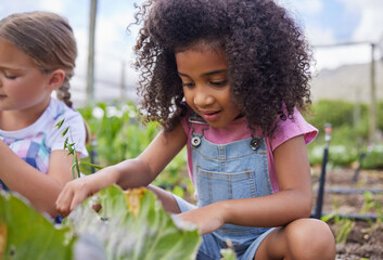 Children, field trip and learning with school girl on farm for agricultural sustainability in countryside. Education, excursion and youth in nature with friends outdoor for development or study