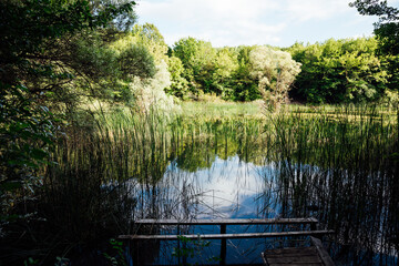 Fototapete bei efototapeten.de bestellen   