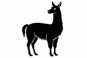 llama line art silhouette vector illustration