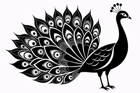 Peacock clip art preview