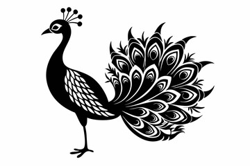 Fototapeta premium peacock line art silhouette vector illustration