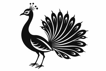 peacock line art silhouette vector illustration