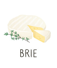 Soft white round brie cheese with thyme. Camembert, brie cut piece. Organic farm food. Design element, cartoon flat illustration for logo, poster, menu. Isolated on white background.