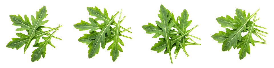 Cluster of Arugula Leaves, Cut Out Set