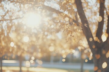 Golden autumn sunlight filters through vibrant leaves in a tranquil park setting during the late afternoon