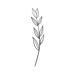 Wildflower icon vector. Flower illustration sign. Home decor symbol or logo.