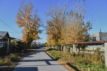 Autumn landscape of a small town. Village houses and roads covered with orange foliage