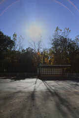 Autumn landscape of a small town. Village houses and roads covered with orange foliage