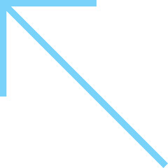 Minimalist Flat Arrow Icon Vector