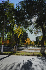 Autumn landscape of a small town. Village houses and roads covered with orange foliage