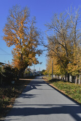Obraz premium Autumn landscape of a small town. Village houses and roads covered with orange foliage