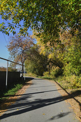 Autumn landscape of a small town. Village houses and roads covered with orange foliage