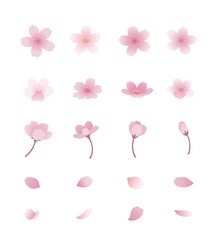 Cherry Blossom Flat Illustration Set Vector