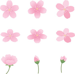Cherry Blossom Flat Illustration Set Vector