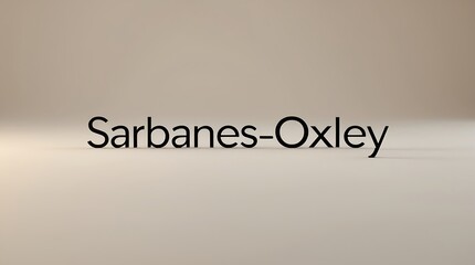 Obraz premium Understanding Sarbanes-Oxley and Its Impact on Financial Regulation in Business