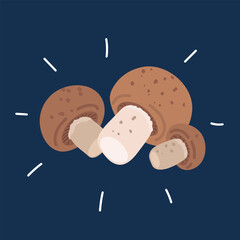 Cartoon vector illustration of mushrooms against dark background
