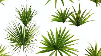 Fototapeta premium Green Tropical Leaves Design on a White Background for Decoration
