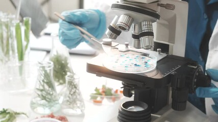 Middle-aged female laboratory worker wearing blue gloves conducts lab test on food ingredients lettuce, cucumber, pork. Using microscope, she analyzes nutrients, preservatives, food safety records.