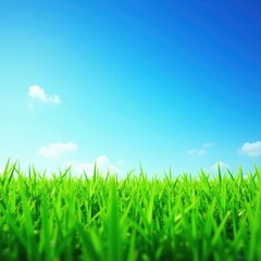 Fototapeta premium Close-up textured green grass against azure sky, ample blank space , nature, field