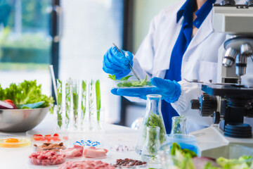 Fototapeta premium Middle-aged female laboratory worker wearing blue gloves conducts lab test on food ingredients lettuce, cucumber, pork. Using microscope, she analyzes nutrients, preservatives, food safety records.