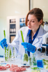 Middle-aged female laboratory worker wearing blue gloves conducts lab test on food ingredients...