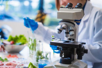 Middle-aged female laboratory worker wearing blue gloves conducts lab test on food ingredients lettuce, cucumber, pork. Using microscope, she analyzes nutrients, preservatives, food safety records.