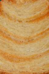 Close-up shot of Palmier cookie, showcasing their flaky layers and caramelized surfaces.