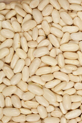 A close-up, top-down shot of a dense pile of white kidney beans