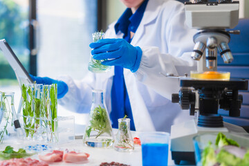 Middle-aged female laboratory worker wearing blue gloves conducts lab test on food ingredients lettuce, cucumber, pork. Using microscope, she analyzes nutrients, preservatives, food safety records.