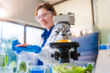 Middle-aged female laboratory worker wearing blue gloves conducts lab test on food ingredients lettuce, cucumber, pork. Using microscope, she analyzes nutrients, preservatives, food safety records.