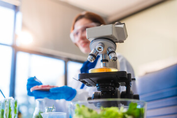 Middle-aged female laboratory worker wearing blue gloves conducts lab test on food ingredients lettuce, cucumber, pork. Using microscope, she analyzes nutrients, preservatives, food safety records.