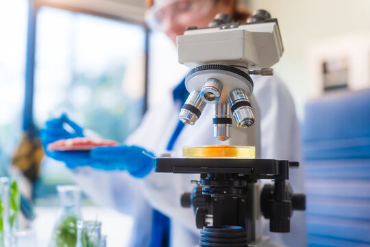 Middle-aged female laboratory worker wearing blue gloves conducts lab test on food ingredients lettuce, cucumber, pork. Using microscope, she analyzes nutrients, preservatives, food safety records.