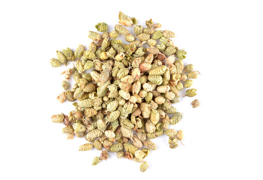 Oregano Buds, Kekik Bilye