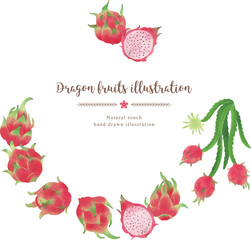 ドラゴンフルーツの手描きイラスト/サークル