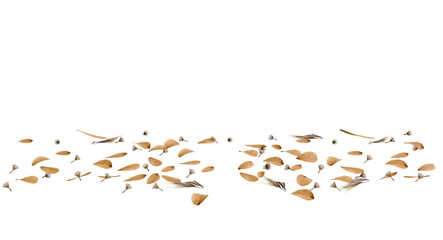 Brown scattered debris on dark background