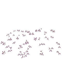 Scattered lilac flowers