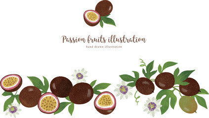 パッションフルーツの手描きイラスト/ワイド
