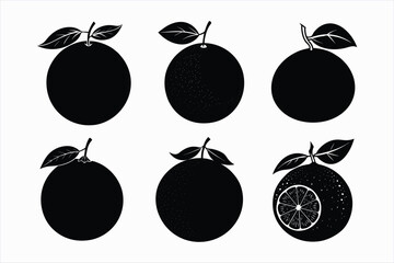Set of grapefruit vector illustration.