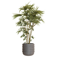 Tropical palm plant in a gray planter