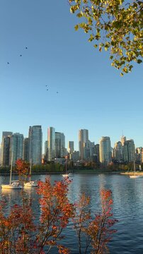 View of the skyscrapers in Downtown of Vancouver across from Granville Island