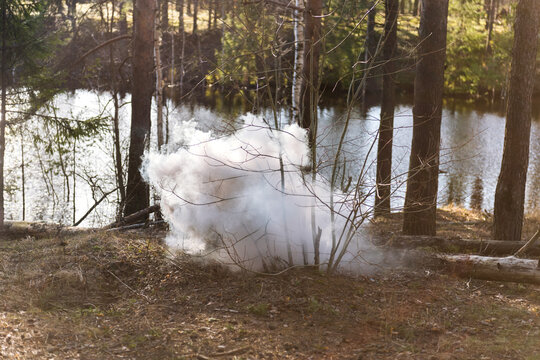 The smoke of an incipient fire in a wild forest. A fire-hazardous situation of flames among the trees. Protect the forest from fire.