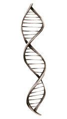 PNG A DNA line architecture accessories.