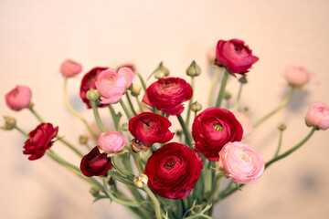 red ranunculus bouquet wallpaper