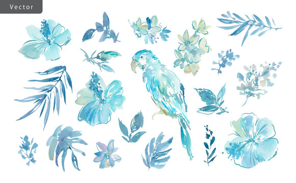 Vector clipart set of abstract blue hibiscus flowers, monstera, tropical plants, and a parrot painted in watercolor. Hand-drawn summer illustration collection of botanical elements and birds.